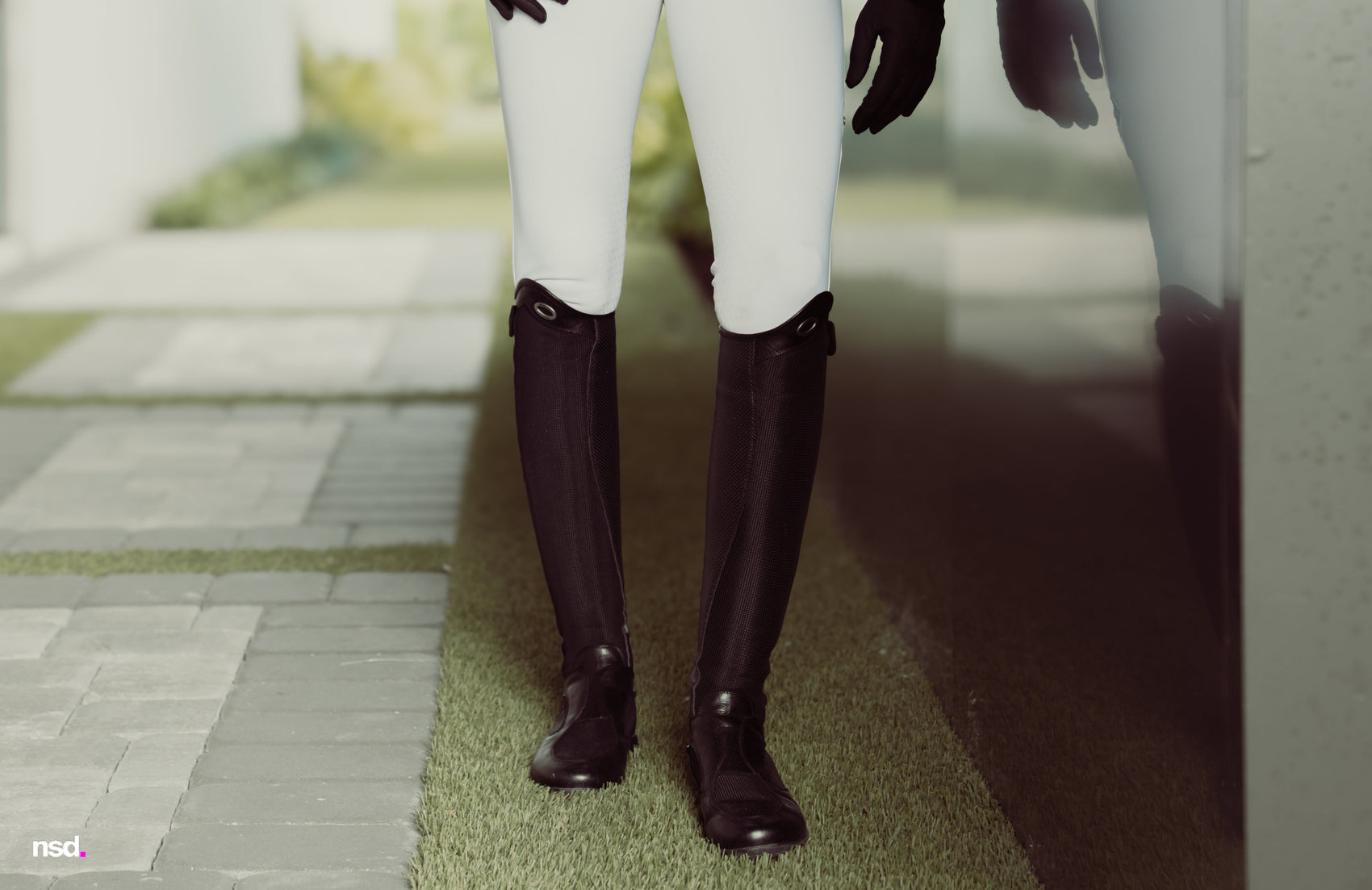 Arya Collection